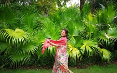 成人性大片免费观看网站YY